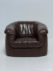 Brown Arm Chair